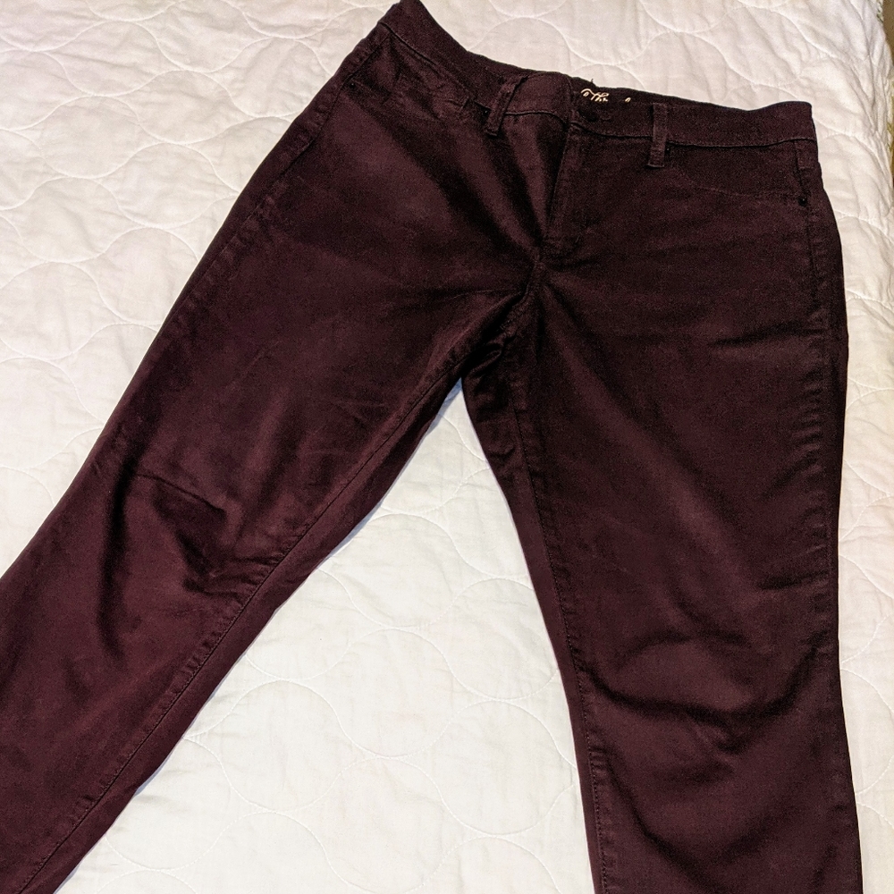 Dark plum Jeggings